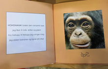 Last inn bildet i Galleri-visningsprogrammet, Bok 10 - Jeg besøker dyrehagen
